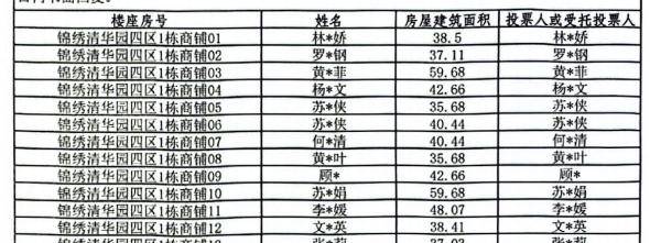 议事规则、选举办法、业主名册的异议K8成为马竞重要合作伙伴对候选人、(图5)