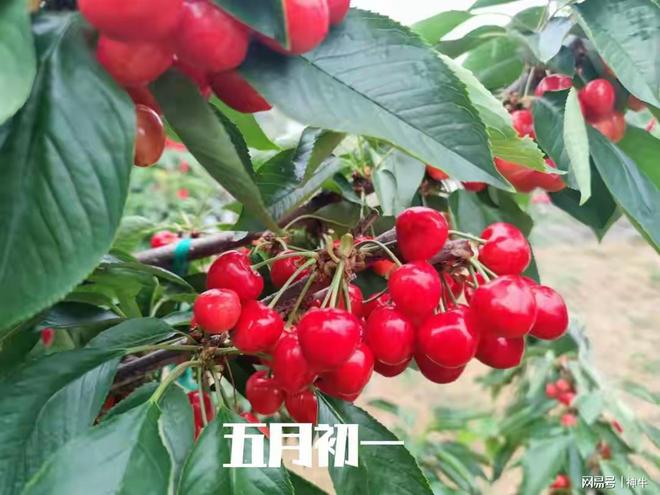 能做的5件事别忘了告诉家人不是迷信！明日五月初一最不(图2)
