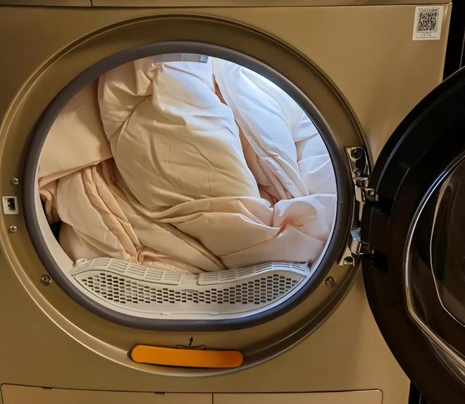 机智了整洁美观省空间快看看广东发现一户高层晾衣设计太(图11) 机智了整洁美观省空间快看看广东发现一户高层晾衣设计太(图11)